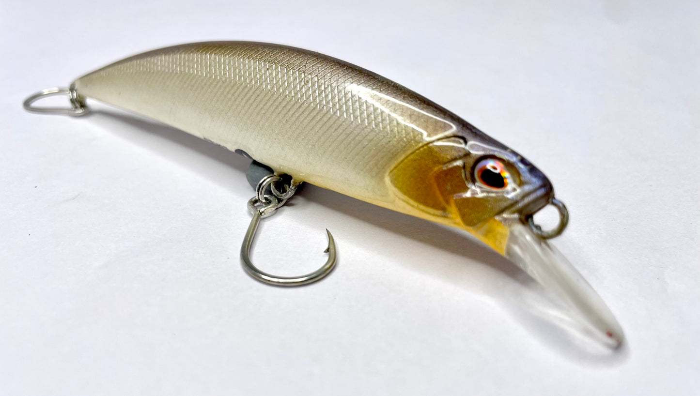 Hiro Minnow