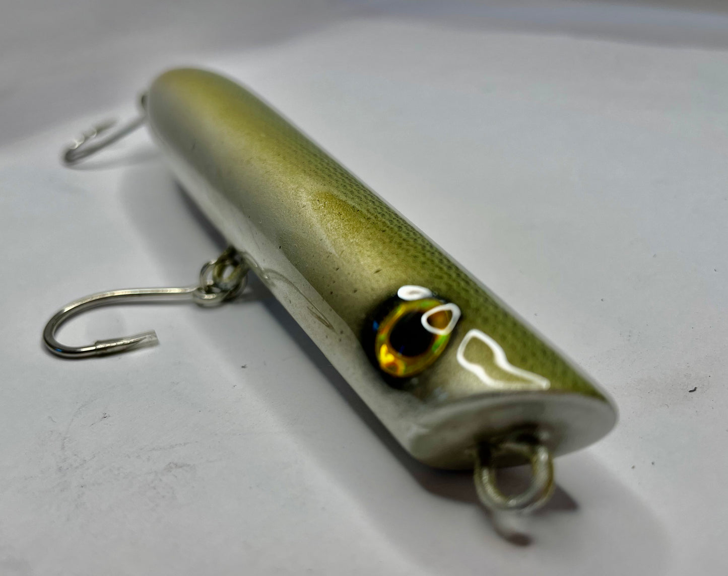 Sand lance
