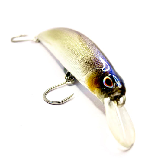 Hiro Minnow